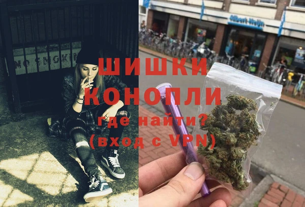 бошки Алексин