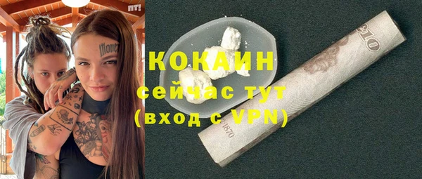 бошки Алексин